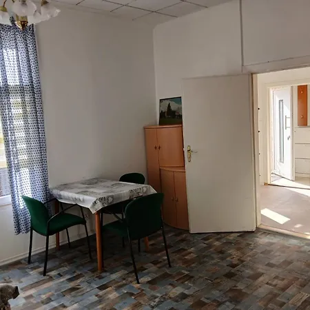 Apartment Mit Garten Zentrumsnah Schwerin (Mecklenburg-Vorpommern)